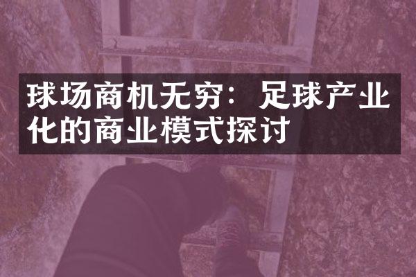 球场商机无穷：足球产业化的商业模式探讨