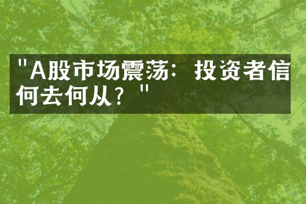 "A股市场震荡：投资者信心何去何从？"