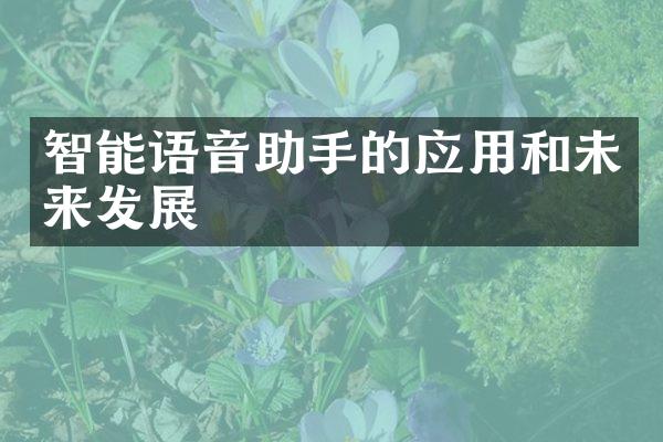 智能语音助手的应用和未来发展