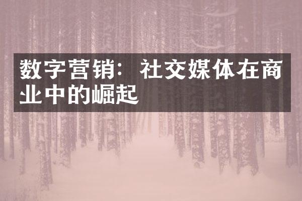 数字营销：社交媒体在商业中的崛起