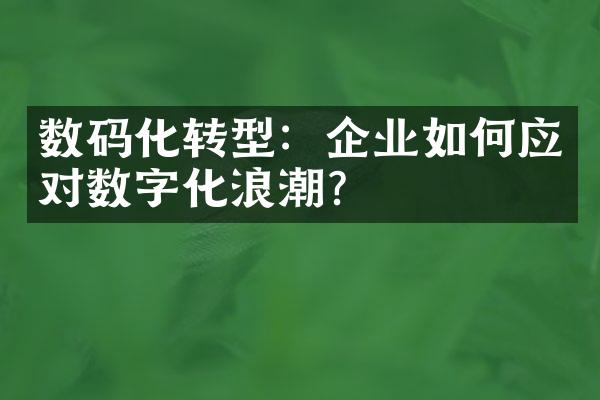 数码化转型：企业如何应对数字化浪潮？