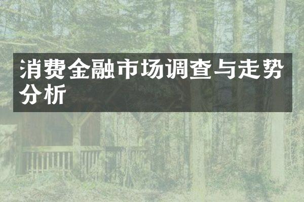 消费金融市场调查与走势分析