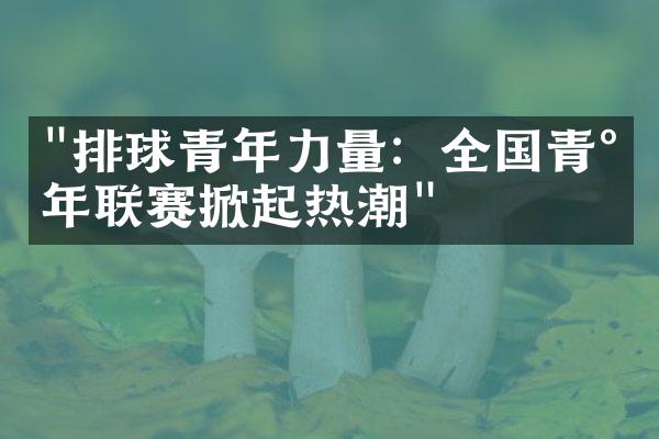 "排球青年力量：全国青少年联赛掀起热潮"