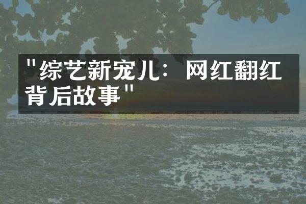 "综艺新宠儿：网红翻红的背后故事"