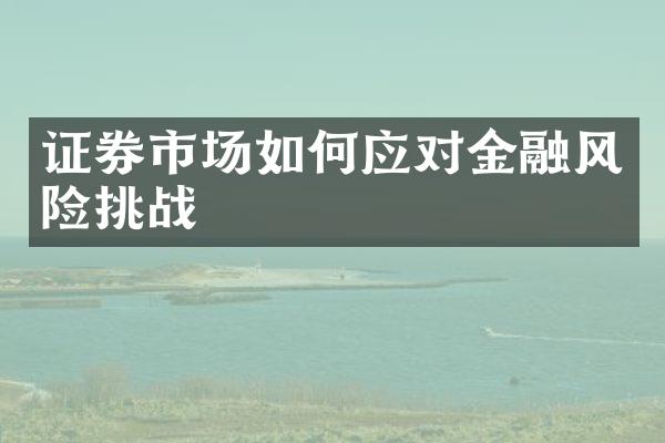 证券市场如何应对金融风险挑战