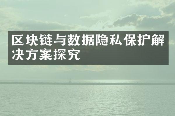 区块链与数据隐私保护解决方案探究