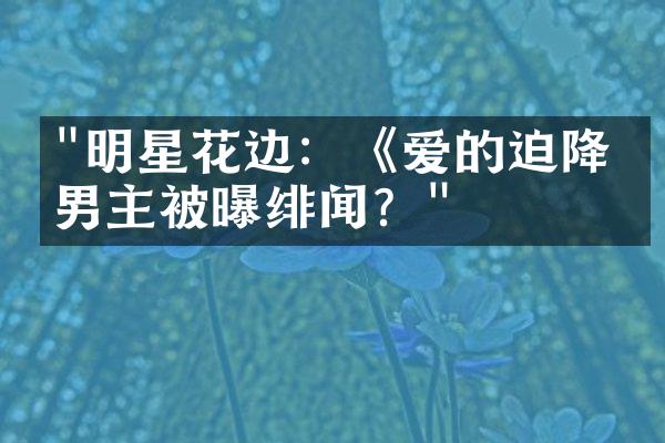 "明星花边：《爱的迫降》男主被曝绯闻？"