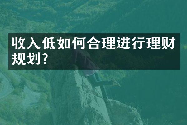 收入低如何合理进行理财规划？