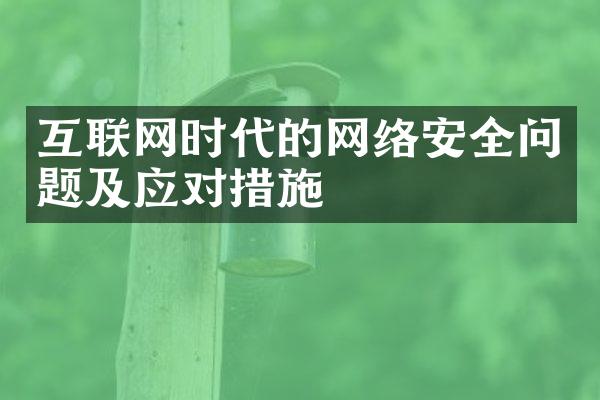 互联网时代的网络安全问题及应对措施