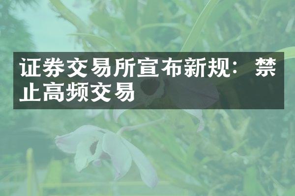 证券交易所宣布新规：禁止高频交易