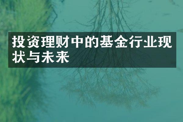 投资理财中的基金行业现状与未来