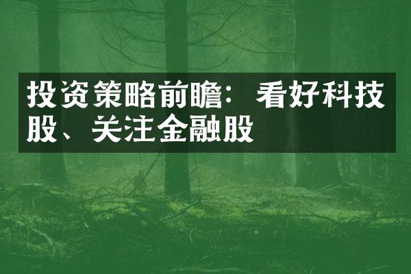 投资策略前瞻：看好科技股、关注金融股