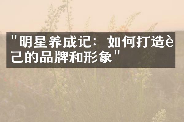 "明星养成记：如何打造自己的品牌和形象"