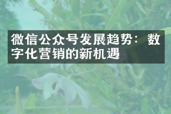 微信公众号发展趋势：数字化营销的新机遇