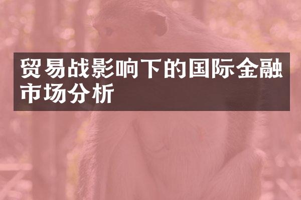 贸易战影响下的国际金融市场分析