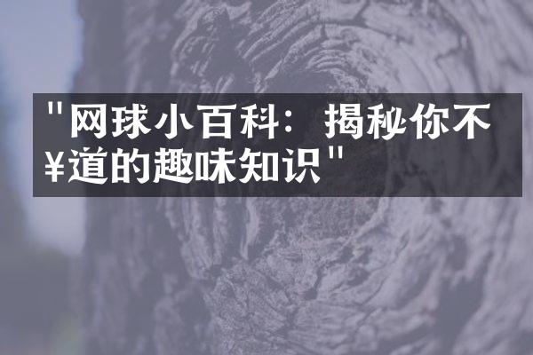 "网球小百科：揭秘你不知道的趣味知识"