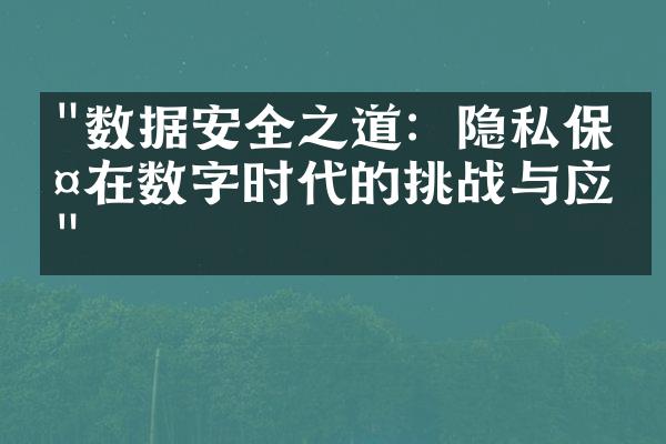 "数据安全之道：隐私保护在数字时代的挑战与应对"