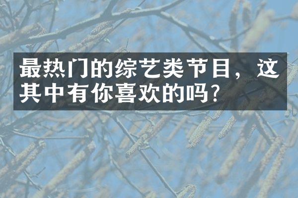 最热门的综艺类节目，这其中有你喜欢的吗？