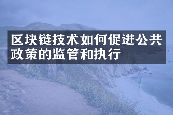 区块链技术如何促进公共政策的监管和执行