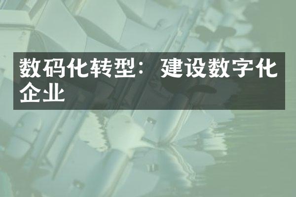 数码化转型：建设数字化企业