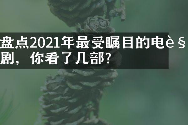 盘点2021年最受瞩目的电视剧，你看了几部？