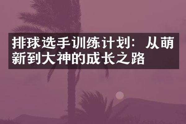 排球选手训练计划：从萌新到大神的成长之路