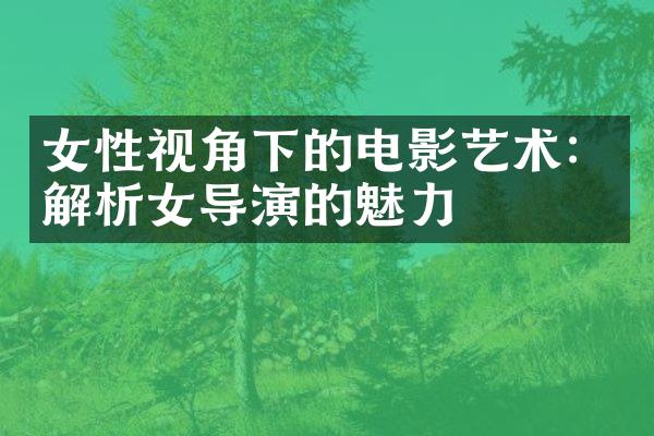 女性视角下的电影艺术：解析女导演的魅力