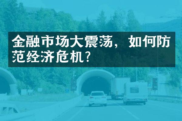 金融市场大震荡，如何防范经济危机？