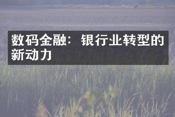 数码金融：银行业转型的新动力