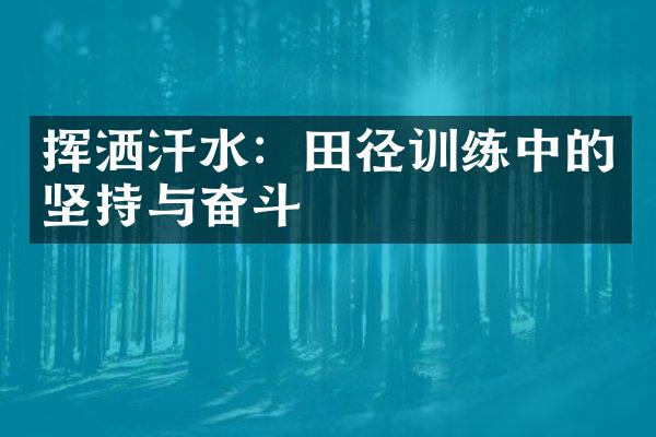 挥洒汗水：田径训练中的坚持与奋斗