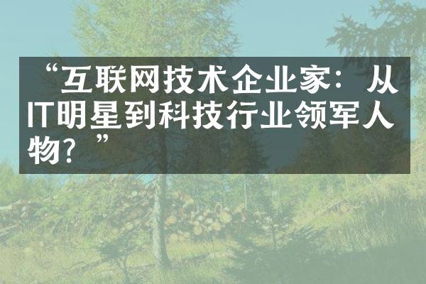 “互联网技术企业家：从IT明星到科技行业领军人物？”