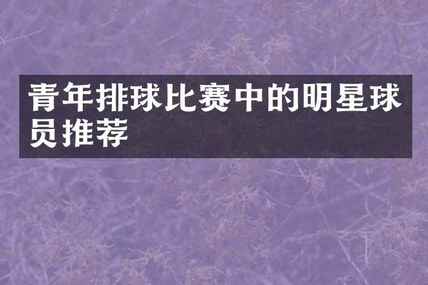 青年排球比赛中的明星球员推荐