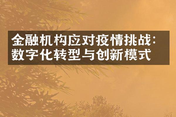 金融机构应对疫情挑战：数字化转型与创新模式