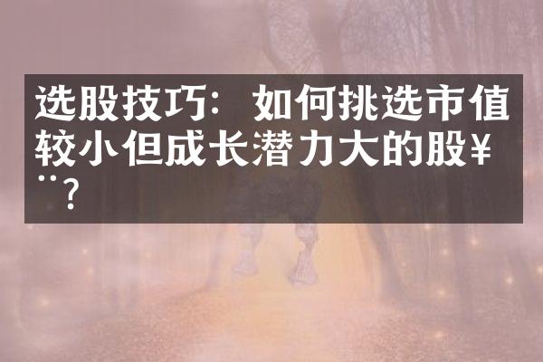 选股技巧：如何挑选市值较小但成长潜力的股票？