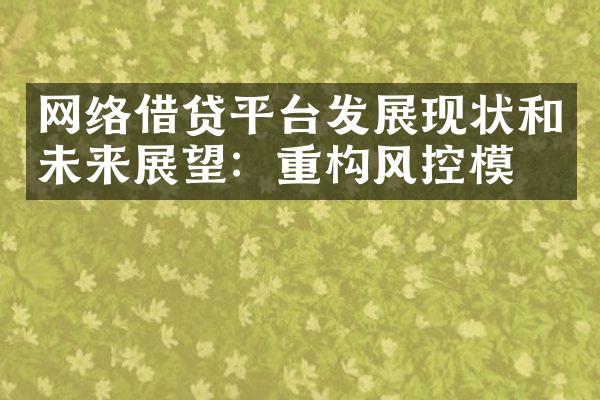 网络借贷平台发展现状和未来展望：重构风控模式