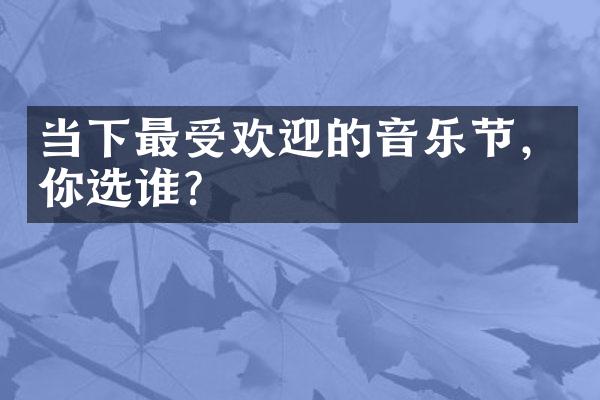 当下最受欢迎的音乐节，你选谁？