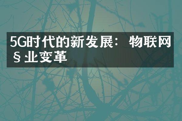 5G时代的新发展：物联网产业变革