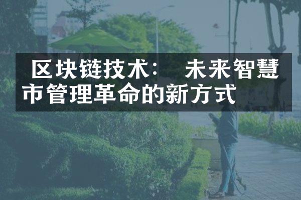  区块链技术： 未来智慧城市管理革命的新方式