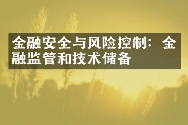 金融安全与风险控制：金融监管和技术储备