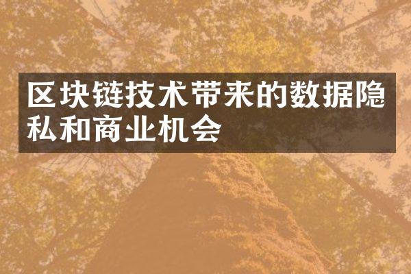 区块链技术带来的数据隐私和商业机会