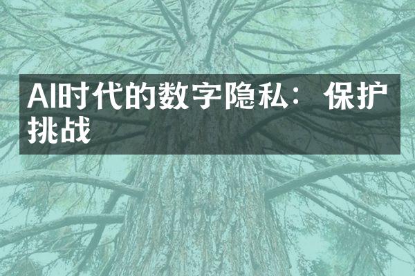 AI时代的数字隐私：保护与挑战