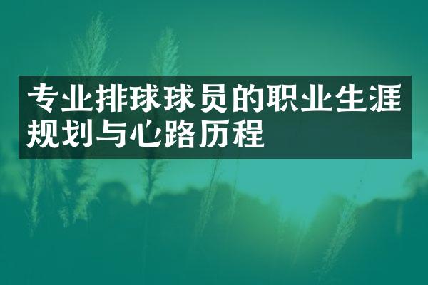 专业排球球员的职业生涯规划与心路历程