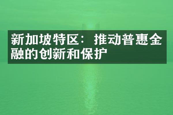 新加坡特区：推动普惠金融的创新和保护