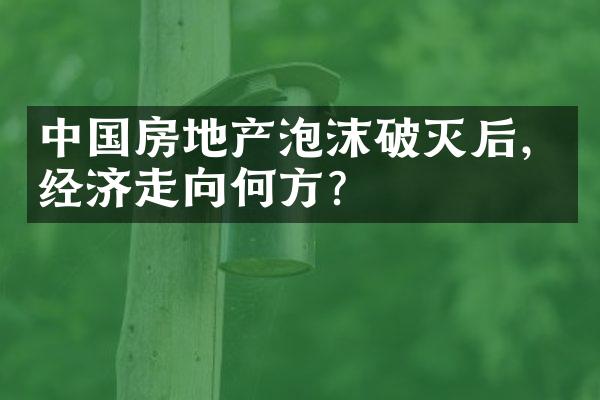 中国房地产泡沫破灭后，经济走向何方？