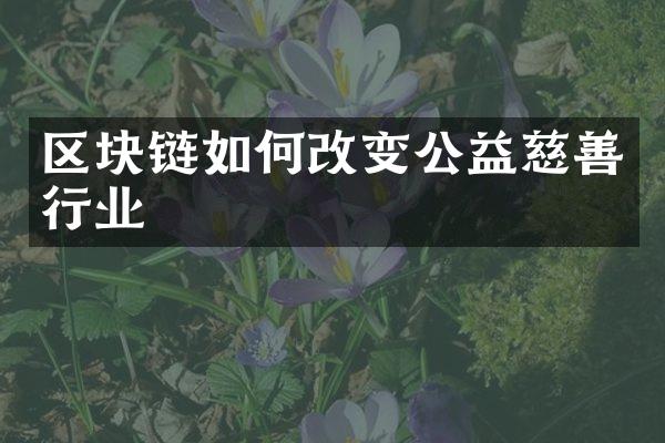 区块链如何改变公益慈善行业