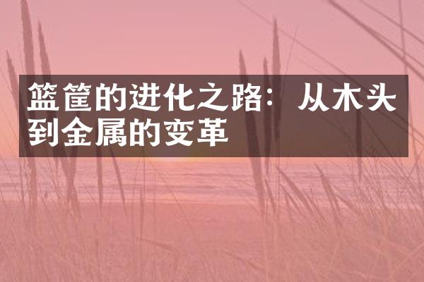 篮筐的进化之路：从木头到金属的变革