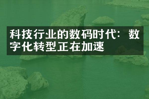 科技行业的数码时代：数字化转型正在加速