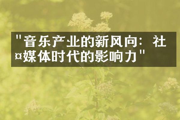 "音乐产业的新风向：社交媒体时代的影响力"