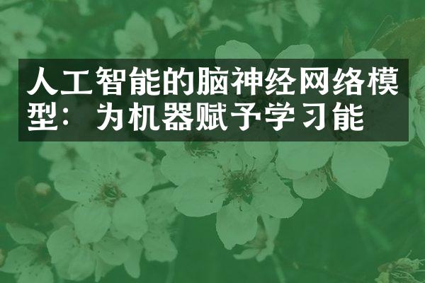 人工智能的脑神经网络模型：为机器赋予学习能力