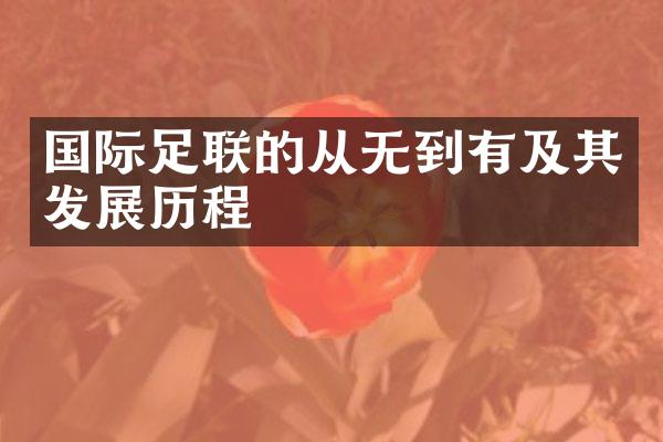 国际足联的从无到有及其发展历程